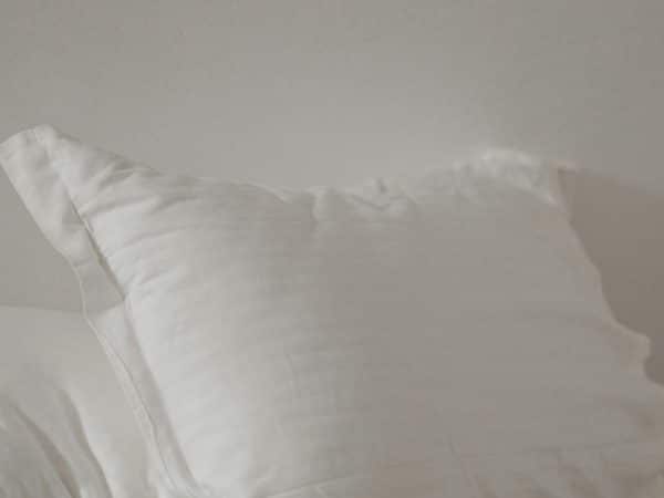 Lutte contre les punaises de lit, trouvez votre professionnel sur internet !